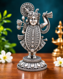 Lord Shreenathji